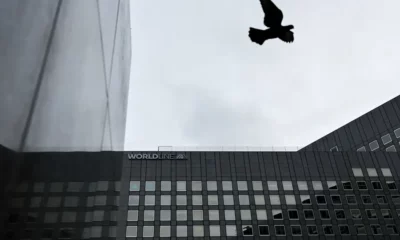 Bird flying above modern office building