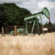 Oil pumpjack in a rural field, warning sign visible.