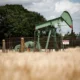 Oil pumpjack in a field with warning sign.