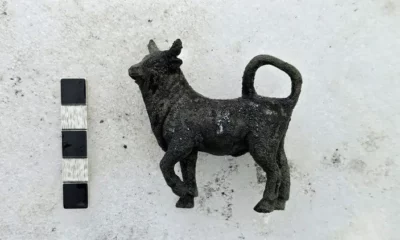 Bronze bull figurine next to measuring scale.