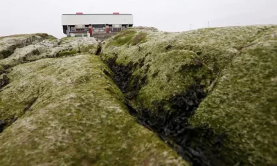 Moss-covered rocks with building in the distance