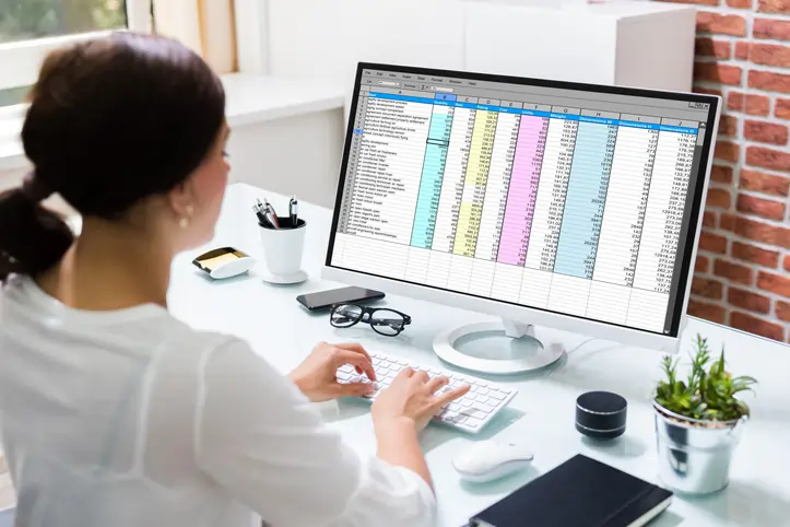 Woman working on spreadsheet at computer desk.